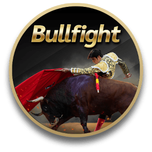 ฺBullfight