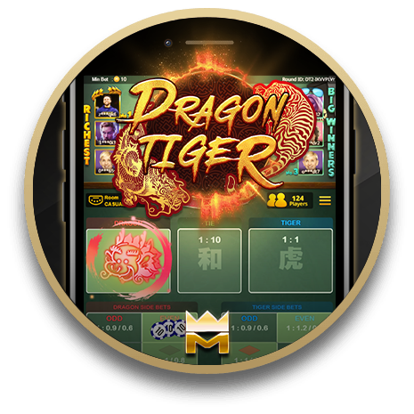 dragontiger circle